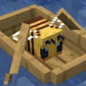 Meet your Posher, Hope